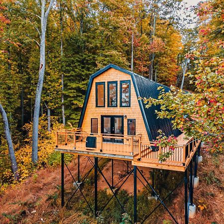 Secluded Mtn View New! 10 Mins To Gatlinburg Or Park Villa Eksteriør billede