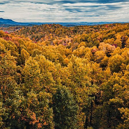 Secluded Mtn View New! 10 Mins To Gatlinburg Or Park Villa Eksteriør billede