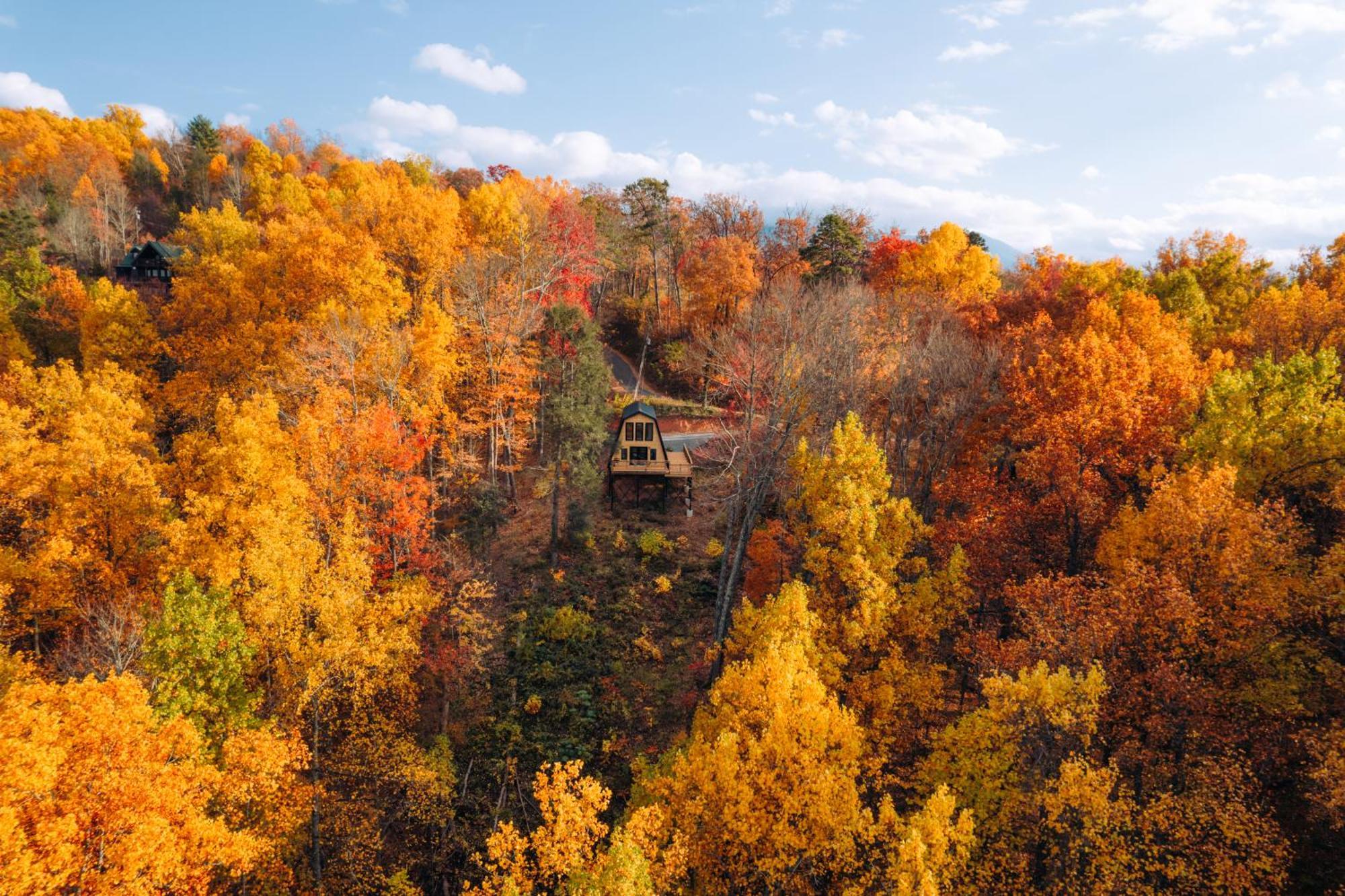 Secluded Mtn View New! 10 Mins To Gatlinburg Or Park Villa Eksteriør billede