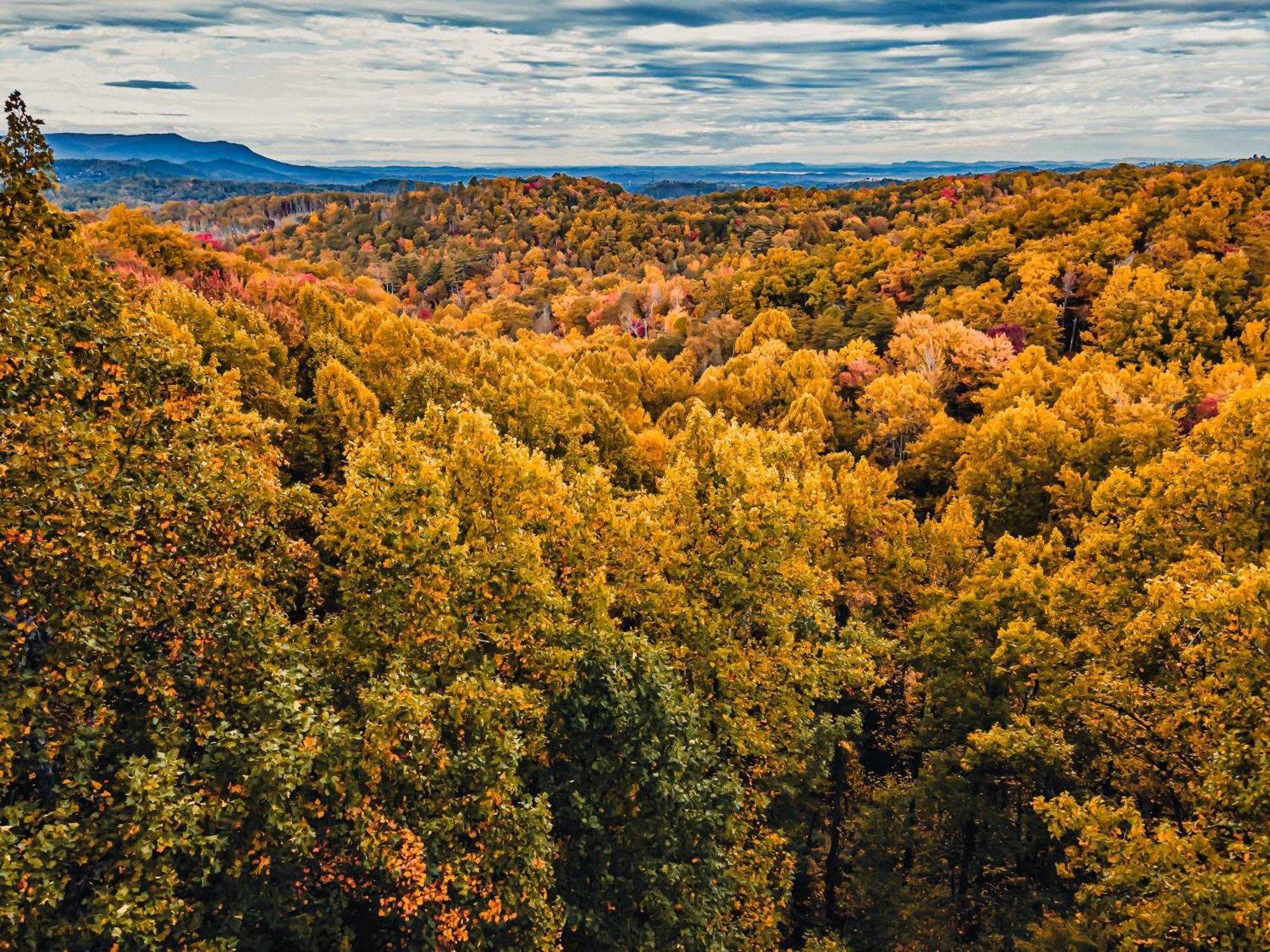 Secluded Mtn View New! 10 Mins To Gatlinburg Or Park Villa Eksteriør billede