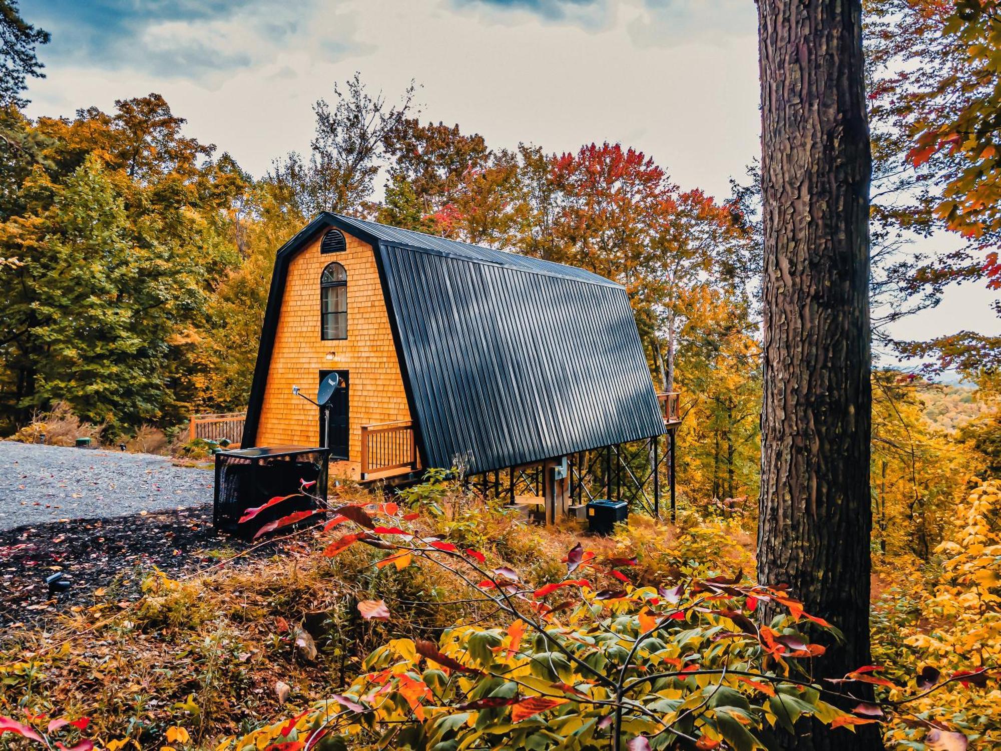 Secluded Mtn View New! 10 Mins To Gatlinburg Or Park Villa Eksteriør billede