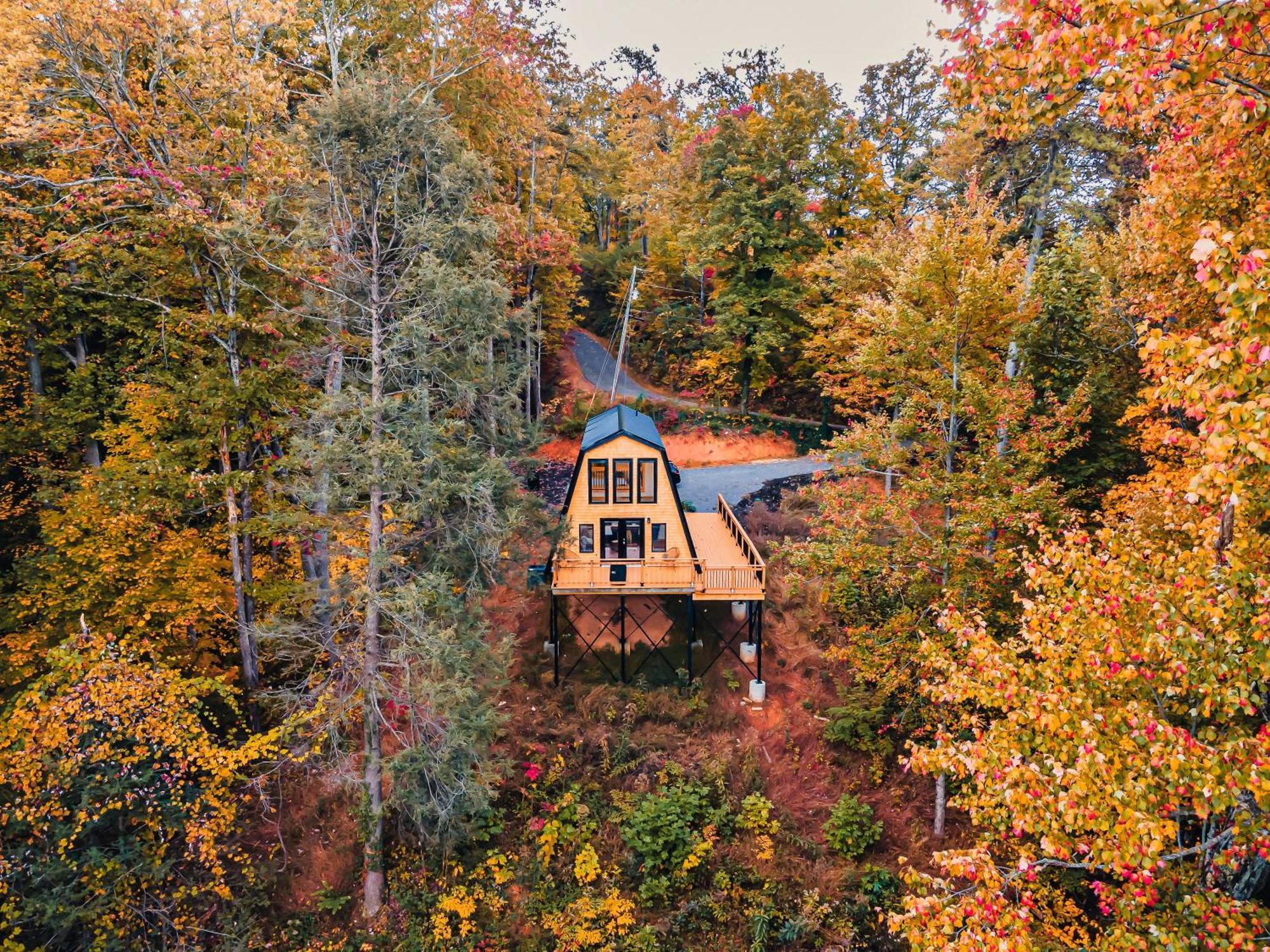 Secluded Mtn View New! 10 Mins To Gatlinburg Or Park Villa Eksteriør billede